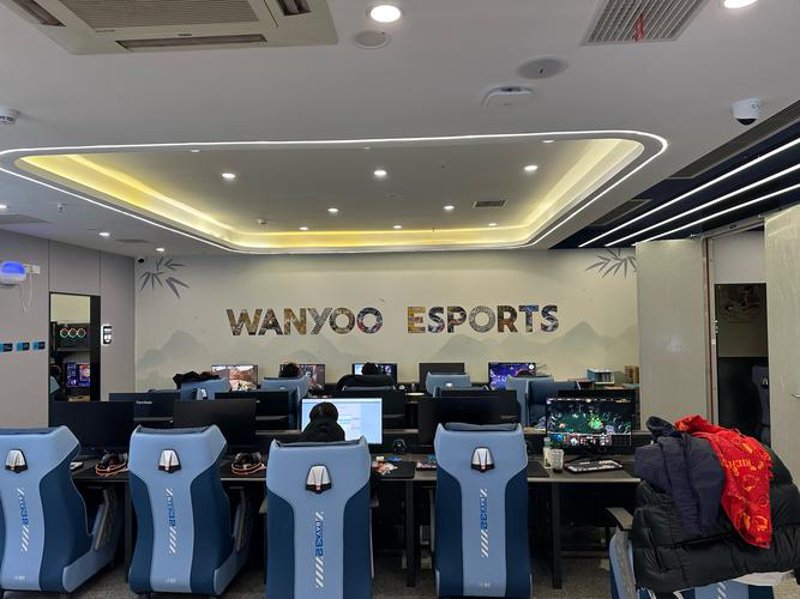 电竞战队：赛场上的精英团队